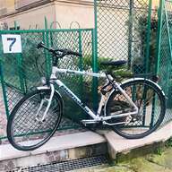 city bike uomo venezia usato