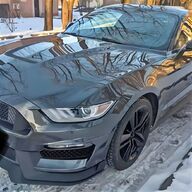 stemma ford mustang usato