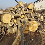 legna pioppo usato