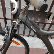 bicicletta tipo olandese usato