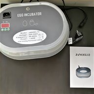 incubatrice uova quaglia usato