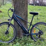 bicicletta elettrica milano usato