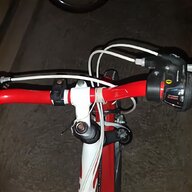 bicicletta mountain bike alluminio nuzzi usato