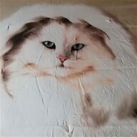 lenzuola matrimoniale bassetti gatto usato