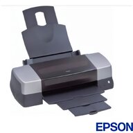 stampante epson stylus s21 usato