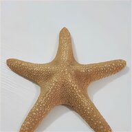 stella marina orecchini pomellato usato