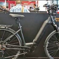 batteria bici elettrica rigenerazione usato
