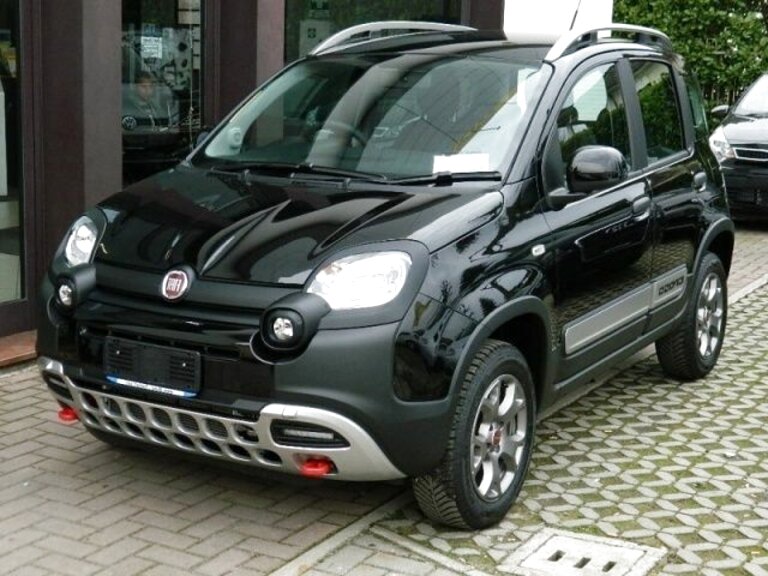 Fiat Panda 4X4 Diesel usato in Italia vedi tutte i 41