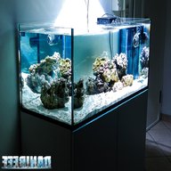 acquario marino 450 litri usato
