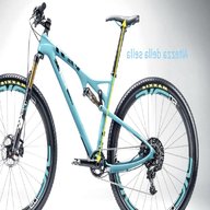 telaio mountain bike xl usato