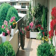 piante da balcone usato