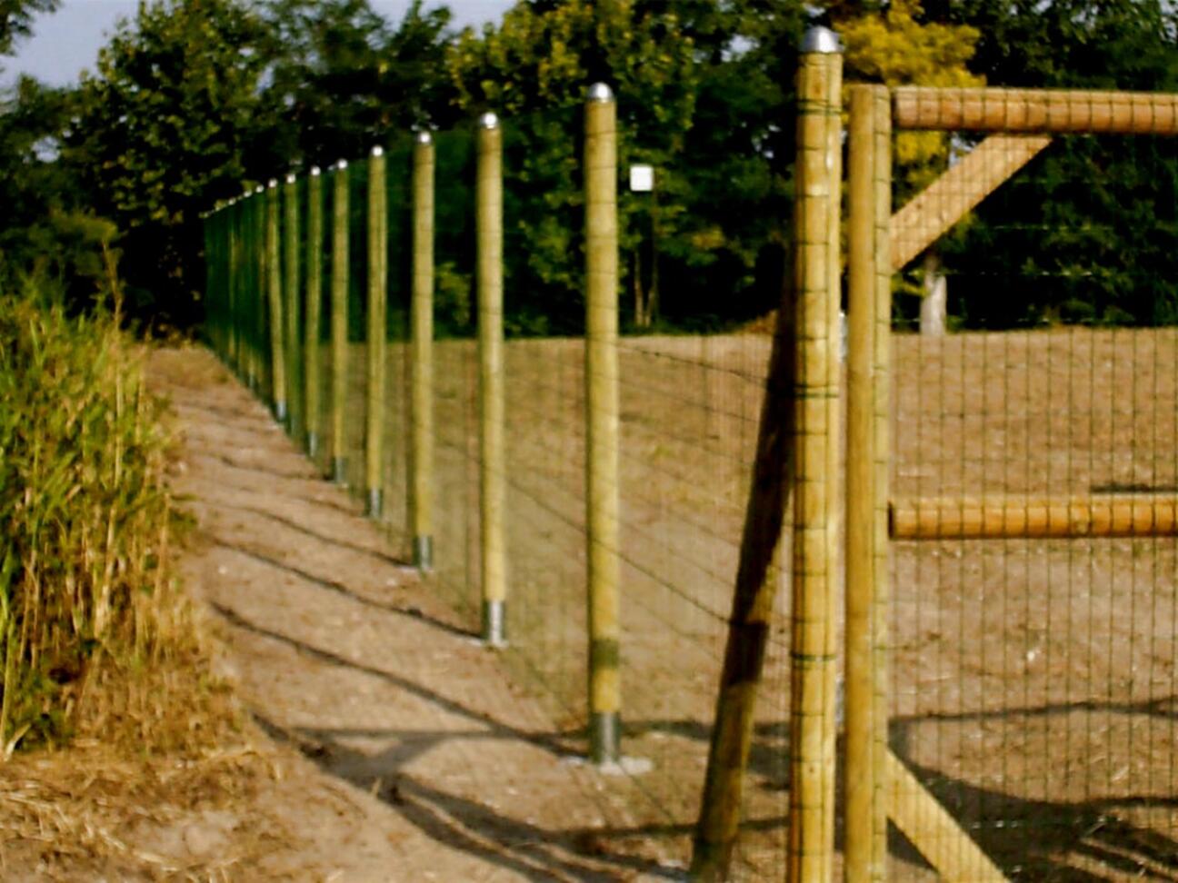 da 1PZ Pali in legno per recinzione tondi con punta trattati impregnati per staccionata/steccato Palo Tondo Ø CM 6 altezza CM 300 H NEXTRADEITALIA CF 