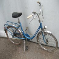 bicicletta tipo graziella 22 usato