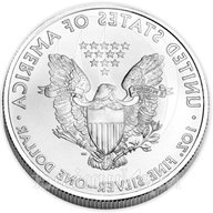 1 dollaro argento 1987 usato
