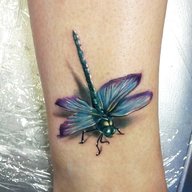 dragonfly tattoo usato