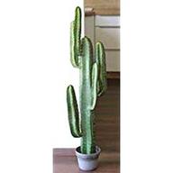 cactus finto usato