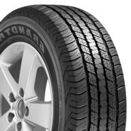 gomme dunlop 265 usato