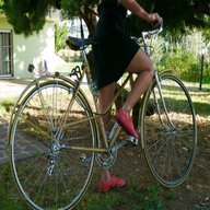 biciclette donna alluminio pesaro fano usato