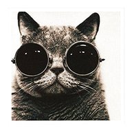 gatto occhiali usato