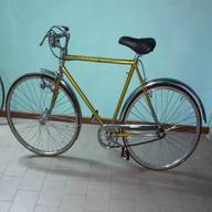 bici ciclo italia usato
