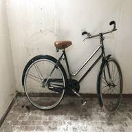bicicletta aquila usato