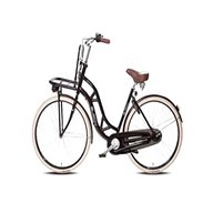 bicicletta olandese usato