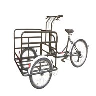 cargo bici usato