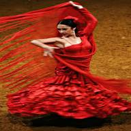 flamenco usato