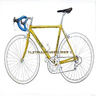 bici corsa bianchi gialla usato