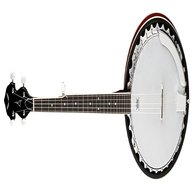 banjo 5 usato