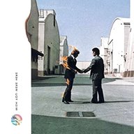 pink floyd wish you were here usato