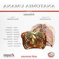 anatomia umana anastasi atlante usato