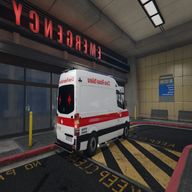 mercedes benz ambulanza usato
