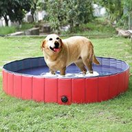 piscina cani usato