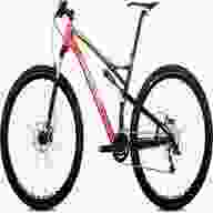 carbon specialized 29 usato