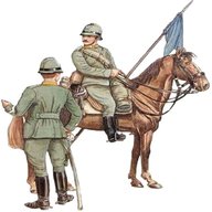 cavalleria militaria usato