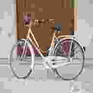 bicicletta donna vicini anni 80 usato