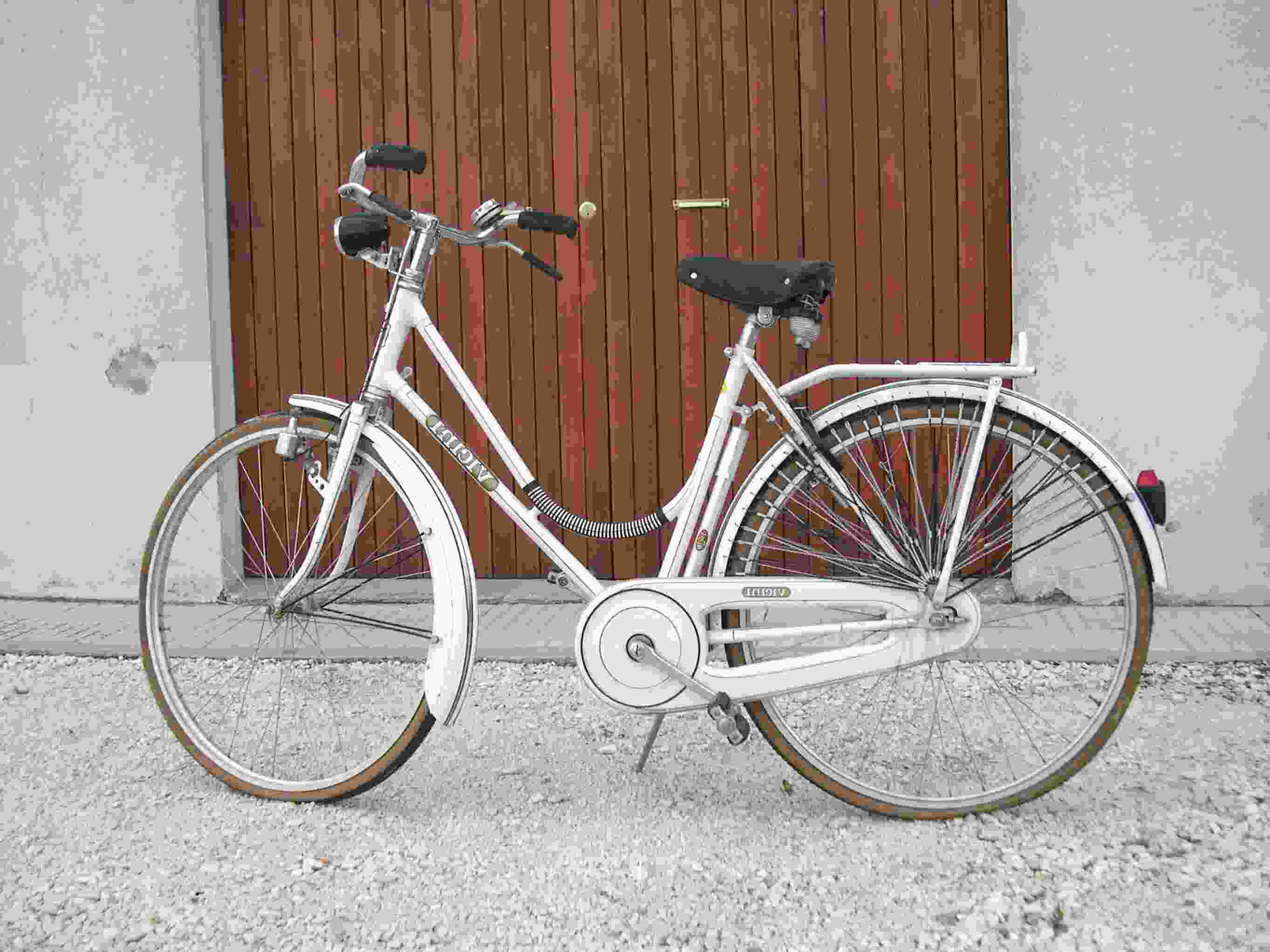 bicicletta bianchi donna usate
