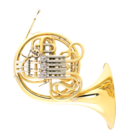 alexander french horn usato