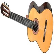 chitarra alhambra 7p usato