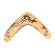 boomerang usato