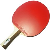 bral ping pong usato