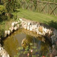 vasca giardino usato