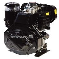 motori lombardini diesel 10 hp usato