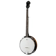 banjo fender usato