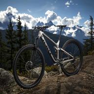 mountain bike 29 trek usato