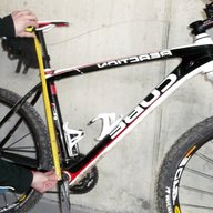mountain bike taglia xs usato