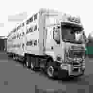 autocarro trasporto animali usato