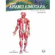 anatomia umana usato