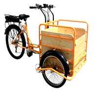 cargo bike assistita usato
